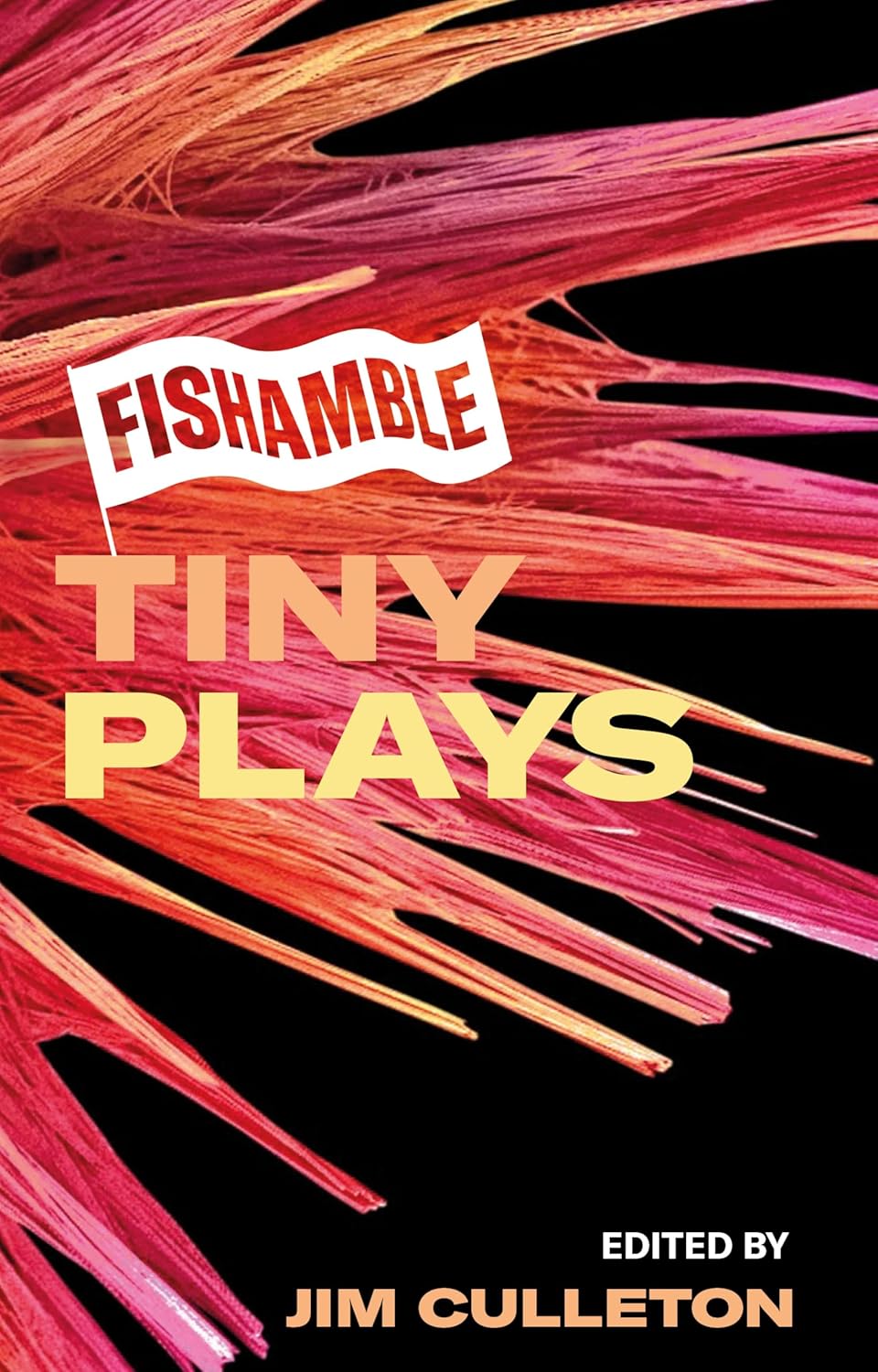 Fishamble Tiny Plays Cover