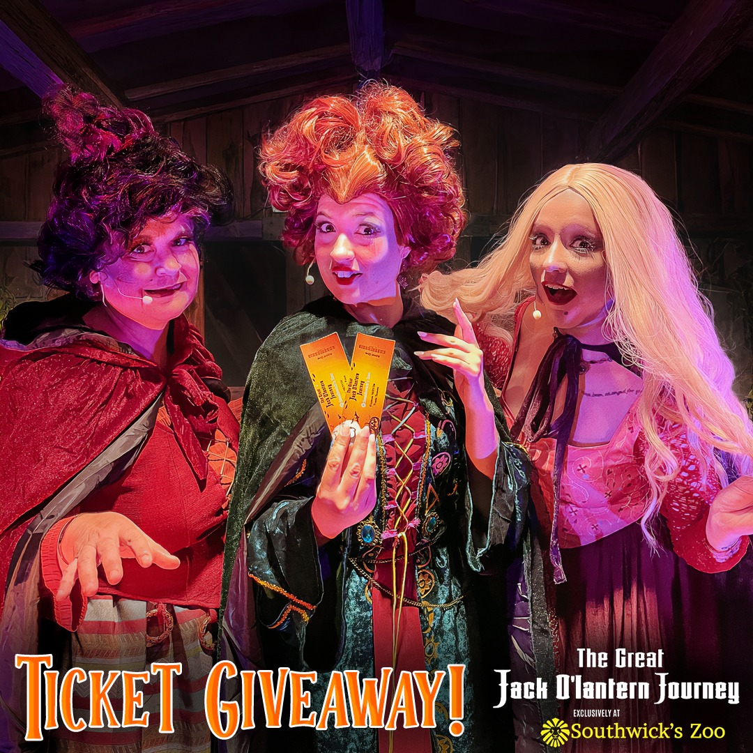 Salem Sisters 2024 - Costume Performers/Actors Needed