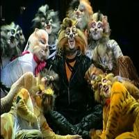 STAGE TUBE: Preview of the Upcoming Italian Production of CATS