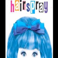 STAGE TUBE: Cast of HAIRSPRAY Tour Says 'Goodbye' Video