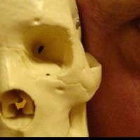 Michael Birch's NE MAN HAMLET Plays Four consecutive Sundays At UNDER St. Mark's…