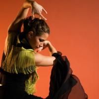 Photo Flash: Forever Flamenco: LA OLE! At Ford Amphitheatre Video