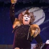 Photo Flash: Way Off Broadway Dinner Theater Presents CATS Video