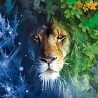 NARNIA Comes to Woodbury Community Theatre 7/8-11 At New Life Church