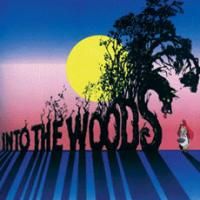 Pittsburgh CLO Presents INTO THE WOODS 8/4-8/9 At The Benedum Center Video