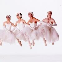 Les Ballets Trockadero de Monte Carlo Performs At The Mesa Arts Center Video