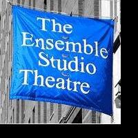 Ensemble Studio Theatre Presents PRINCESS OF WACO, Previews 1/8/2010