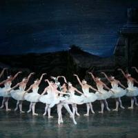 Alina Cojocaru to Appear as Guest Artist with ABT