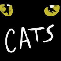 CATS Comes To The Phillips Center 1/9, 1/10/2010 Video
