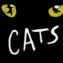 CATS returns to Toronto At The Cannon Theater 5/25-30, Tickets On Sale 3/27 Video