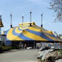 Photo Flash: Cirque du Soleil/OVO Has Big Top-Raising In Randall's Island Park Video