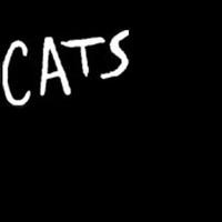 Adopt A Cat At The Opening Of CATS At The Aronoff Center