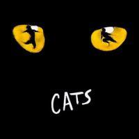 The Palace Theatre Citizen's Bank Performing Arts Series Continues With CATS 10/30-11