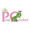 PinkCricket to Host First Annual Arts & Culture Hop and  Camp-a-Thon to Benefit Summer Camp Scholarships