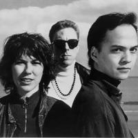 STG Presents The PIXIES 11/12, 11/13 At The Paramount Theatre Video