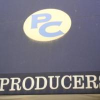 WHAT SAY YOU Begins 11/18 At The Royal Theatre At The Producers Club