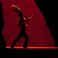 Kate Aldrich To Sing Title Role Of The Met's CARMEN 4/28, 5/1