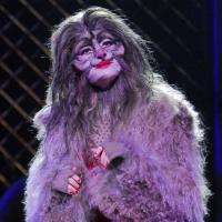 Photo Flash: Teatro Sistina's CATS Video