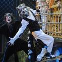 CATS Returns To RomeApril 14-25 Video