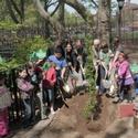 Sternberg Park Celebrates Arbor Day Video