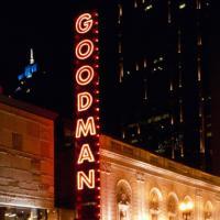 Goodman Theatre's Fame, Fantasy, Food Adventure Auction Returns 2/1/2010 Video