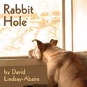 Silver Spring Stage Presents RABBIT HOLE 4/16-5/9 Video