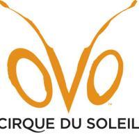 Cirque du Soleil's OVO To Return To NYC 4/9/2010 Video