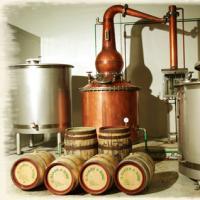 The Distillery Presents FLEE THIS PLACE 10/8-18 At Meymandi Theatre Video