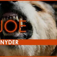Profiles Theatre Extends Tracey Letts' KILLER JOE Thru April 11