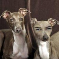 Charlotte Street Foundation's Urban Culture Project Presents MYTHMAKERS, Opens 11/20