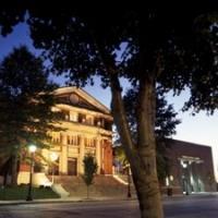 The Sheldon Announces Three New Shows Including Young Elvis And A Blues Band