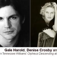 Gale Harold, Denise Crosby, Claudia Mason Star In ORPHEUS DESCENDING, 1/15-2/21 Video