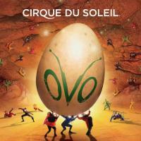 Cirque du Soleil's OVO Adds Performances For San Jose Engagement, Tix Avaliable 12/21 Video