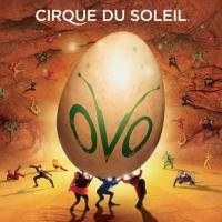 CIRQUE DU SOLEIL OVO Now Playing Through March 21 Video