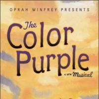 THE COLOR PURPLE returns to St. Louis At The Fox Theatre 2/2-7/2010 Video