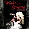 NIGHT OF THE IGUANA Extended Thru 4/3 At Tennessee Williams Literary Festival