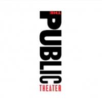 The Public Announces '09 Emerging Writers Evening of Excerpts and Spotlight Series Video