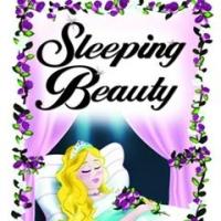Marriott Theatre For Young Audiences Presents SLEEPING BEAUTY