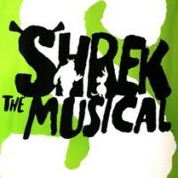 'We Plan to Monetize Shrek The Musical in Any Number of Ways' Says DreamWorks