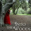 Terrace Plaza Playhouse Presents INTO THE WOODS 4/16-5/29 Video