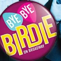 Full Casting Announced For Roundabout's BYE BYE BIRDIE, Starring Stamos And Gershon,  Video