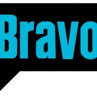 Bravo Casts Artists For THE UNTITLED ART PROJECT, Open Calls Held In LA, Chicago, Mia Video
