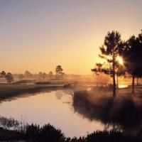 ARTS Partners With RSVP To Provide Activities For Children During The Melodies & Musi