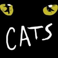 THE WIZARD OF OZ And CATS Added To Hennepin Theatre Trust's 2009/10 Season Video