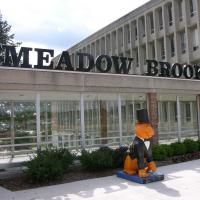 Meadow Brook Theatre Announces FEET FOR SEATS 5k Run/Walk Fundraiser To Be Held 8/23 Video