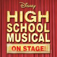 Ogunquit Playhouse Presents DISNEY'S HIGH SCHOOL MUSICAL Beginning 6/27