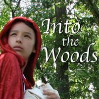 FMPAT Presents INTO THE WOODS 7/10-18