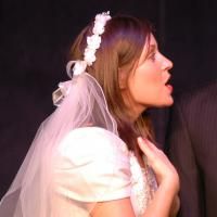 Photo Flash: PERFECT WEDDING At Vital Theater Company Video
