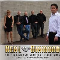 Rehoboth Theatre Presents Diamond And Buffet Tribute Shows