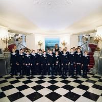 Vienna Boys Choir & More Come To Broadway Series South  Video